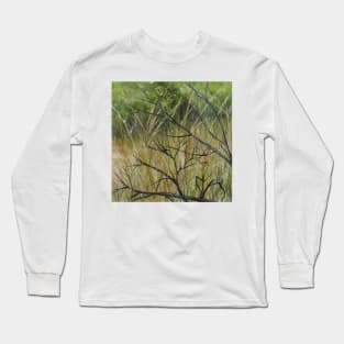 Old Ruined Cottage in Coleraine - Grass Section Long Sleeve T-Shirt